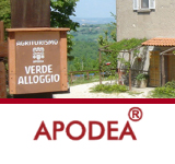 APODEA�����ݥǥ���