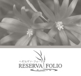 Reserva Folio���إ���������ե����ꥪ