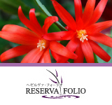 Reserva Folio���إ���������ե����ꥪ