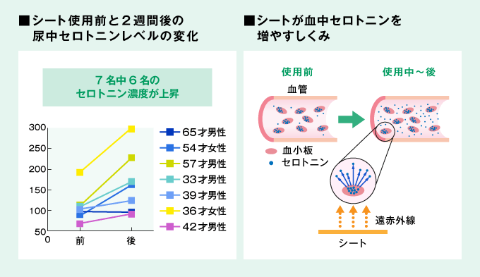 勃起不全のためのアセチルlカルニチン