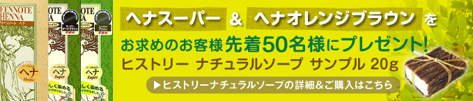 �إʥ����ѡ����إʥ���󥸥֥饦��򤪵��Τ���������50̾�ͤ˥ץ쥼��ȡ��ҥ��ȥ꡼ �ʥ����륽���� ����ץ� 20g