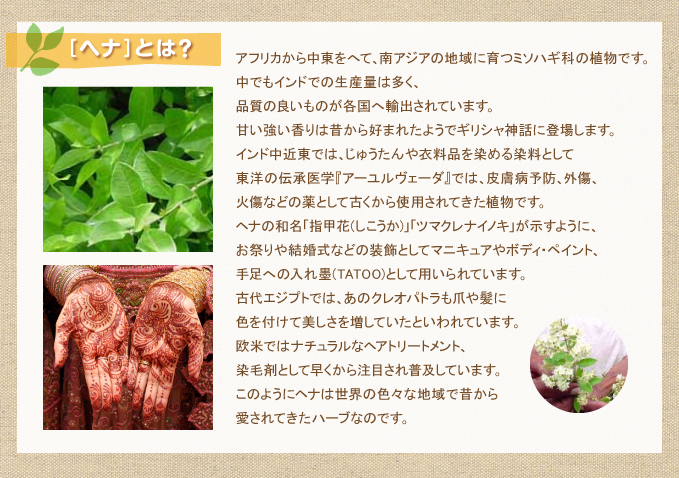 [�إ�]�Ȥϡ�