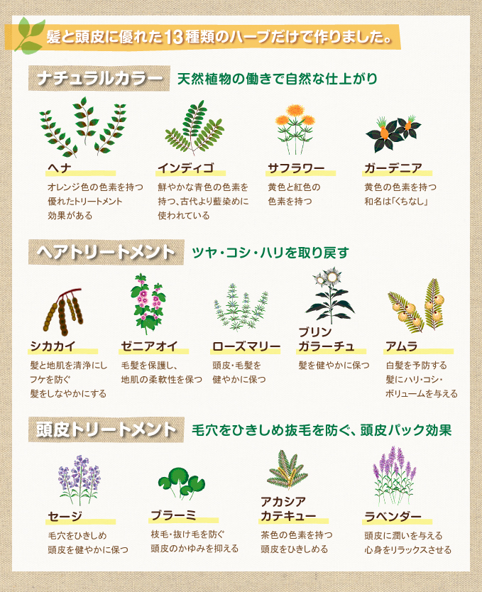 ȱ��Ƭ���ͥ�줿13����Υϡ��֤����Ǻ��ޤ�����