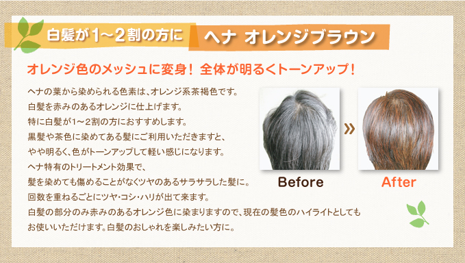 ��ȱ��1��2������� �إ� ����󥸥֥饦��